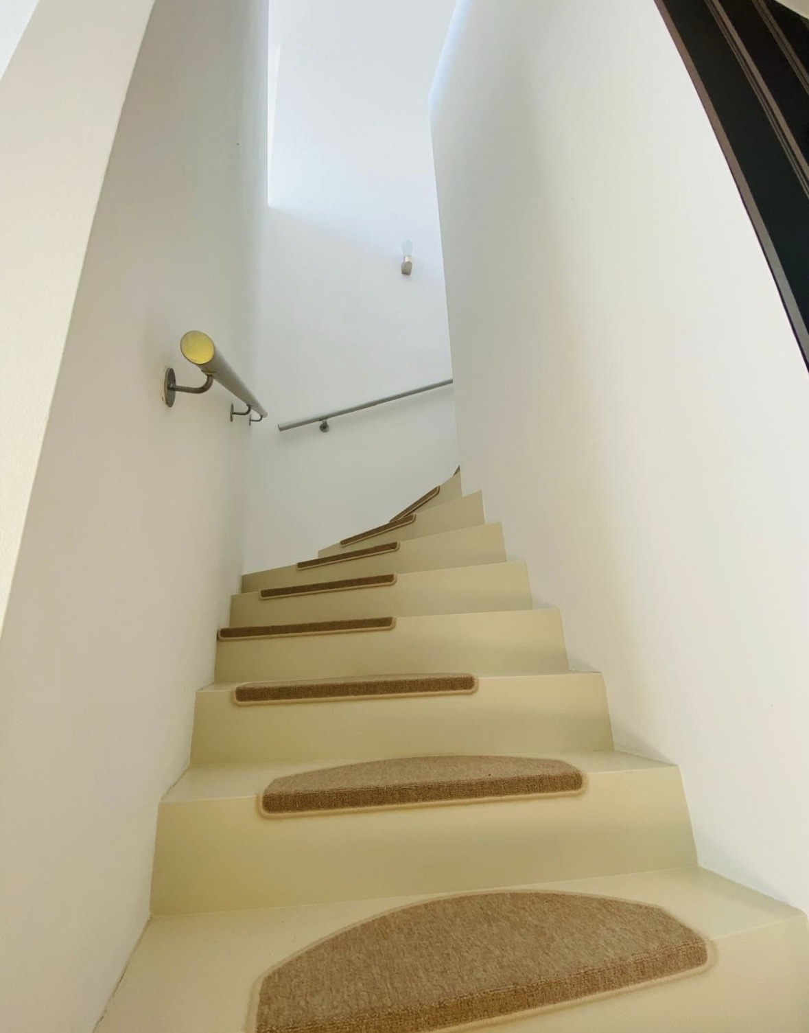 IMG 3645