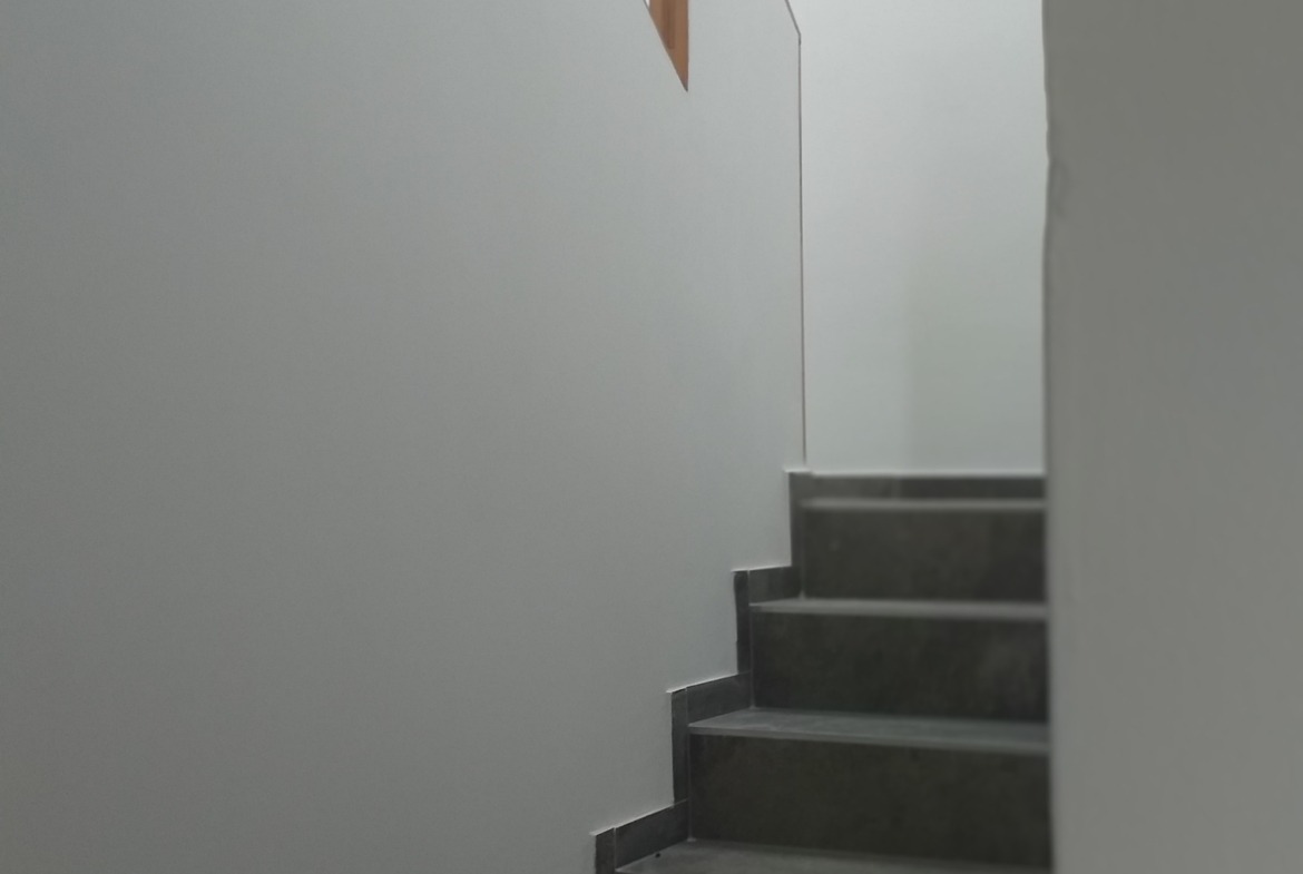 IMG 7208