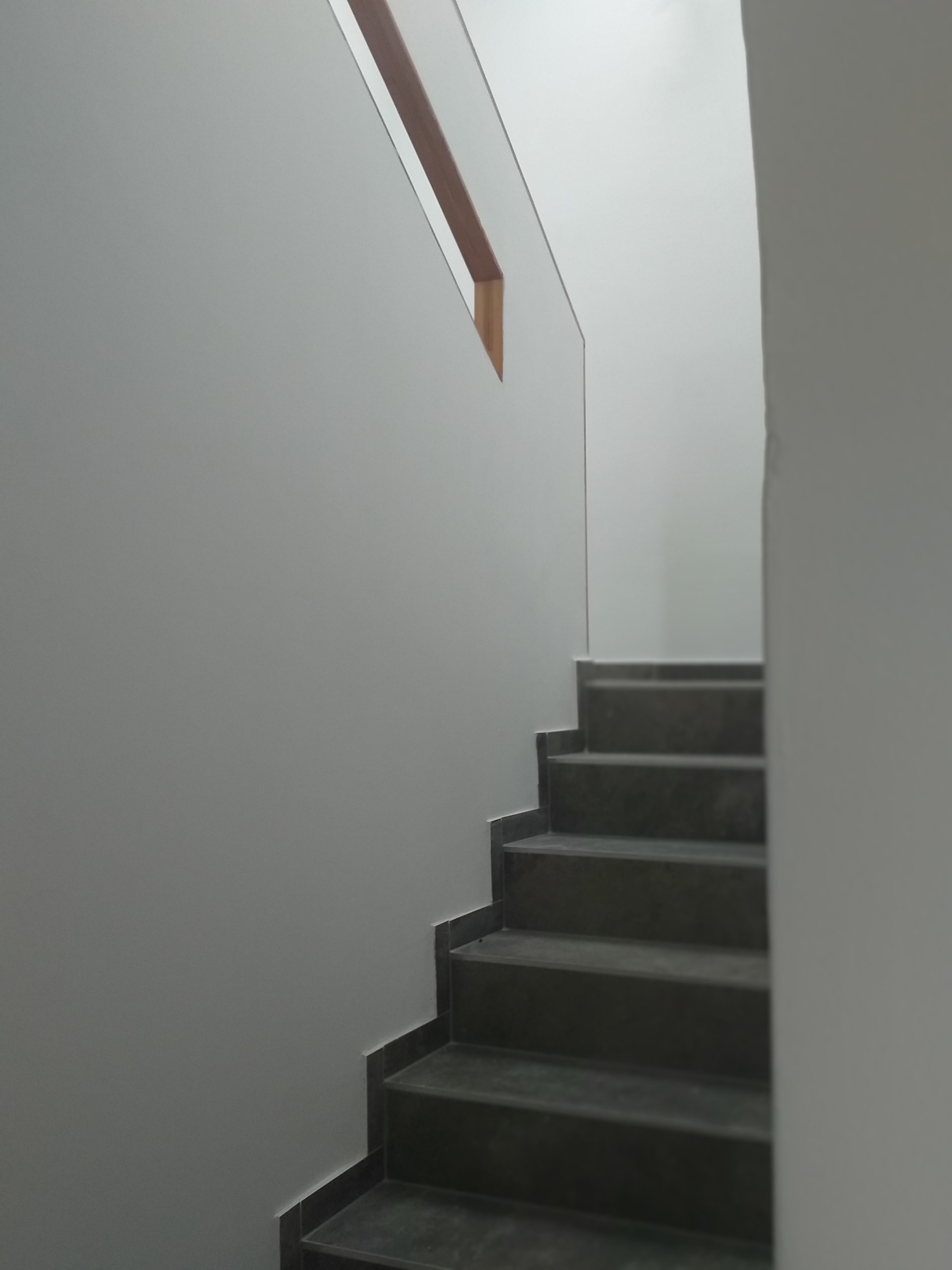 IMG 7208