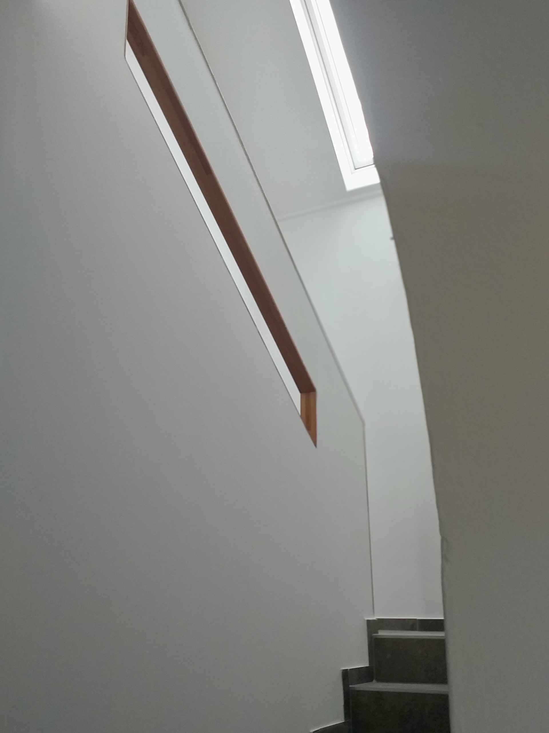 IMG 7210