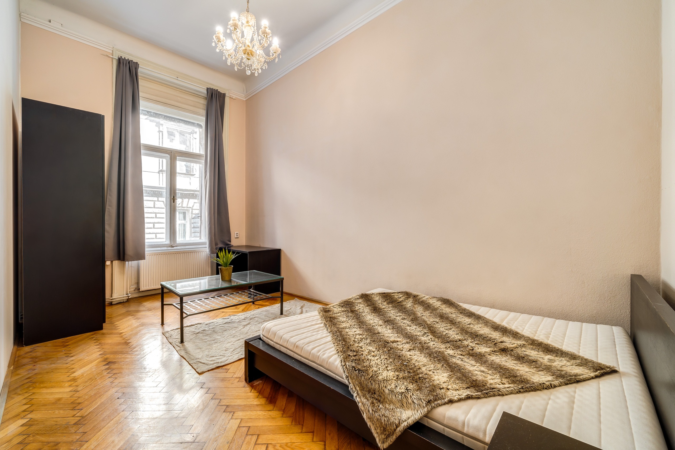 250730 CSA Rakoczy 001
