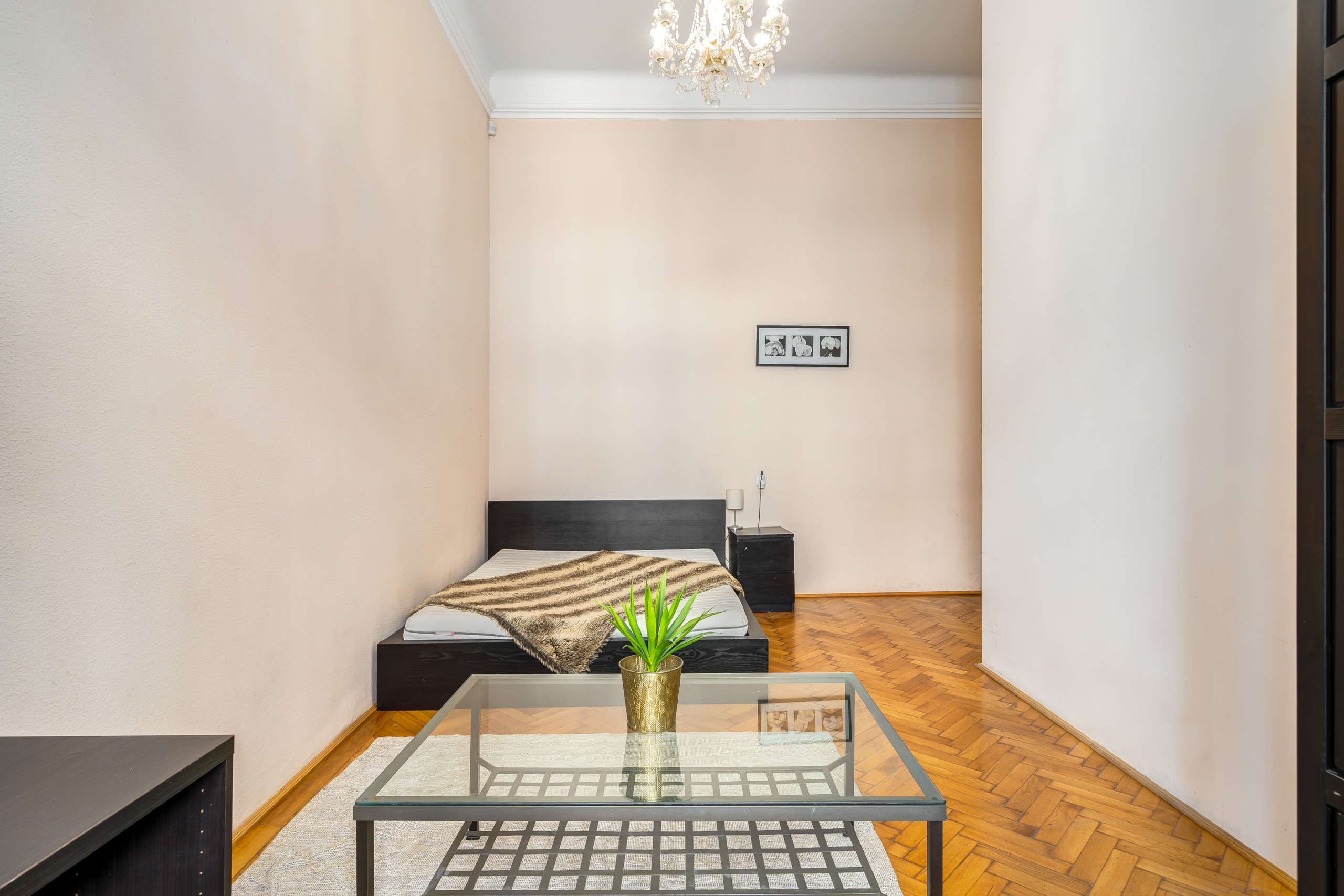 250730 CSA Rakoczy 003