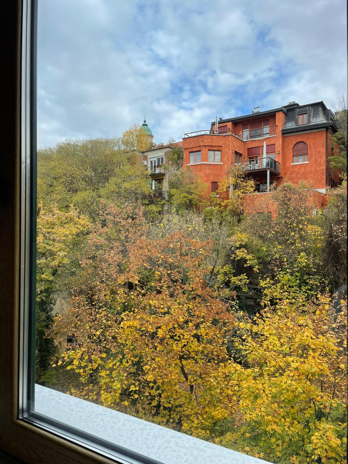 WhatsApp Image 2025 11 27 at 01.42.46 (7)