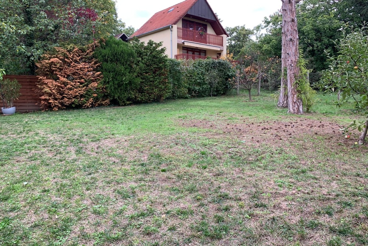 WhatsApp Image 2025 12 16 at 16.22.30