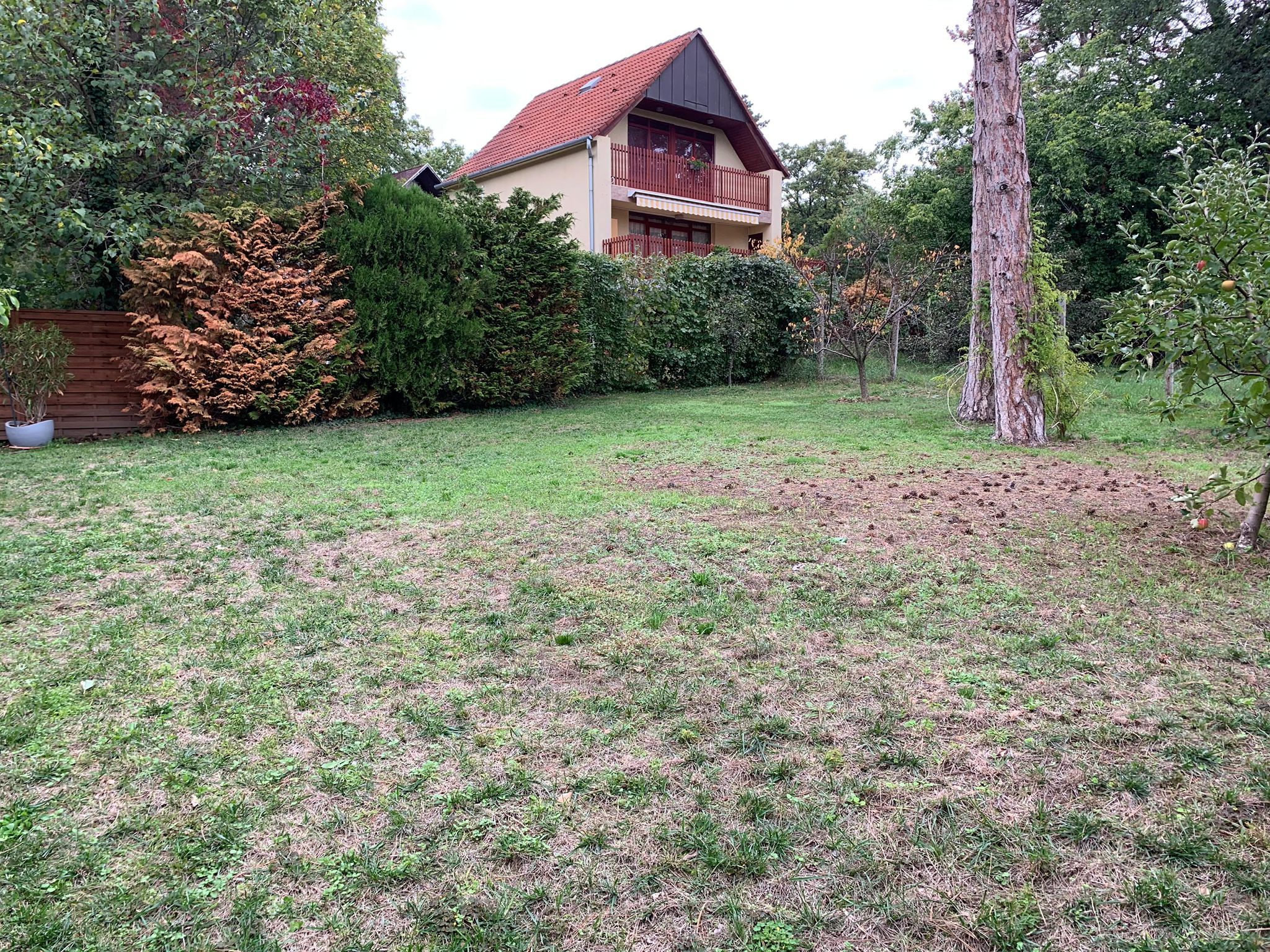 WhatsApp Image 2025 12 16 at 16.22.30