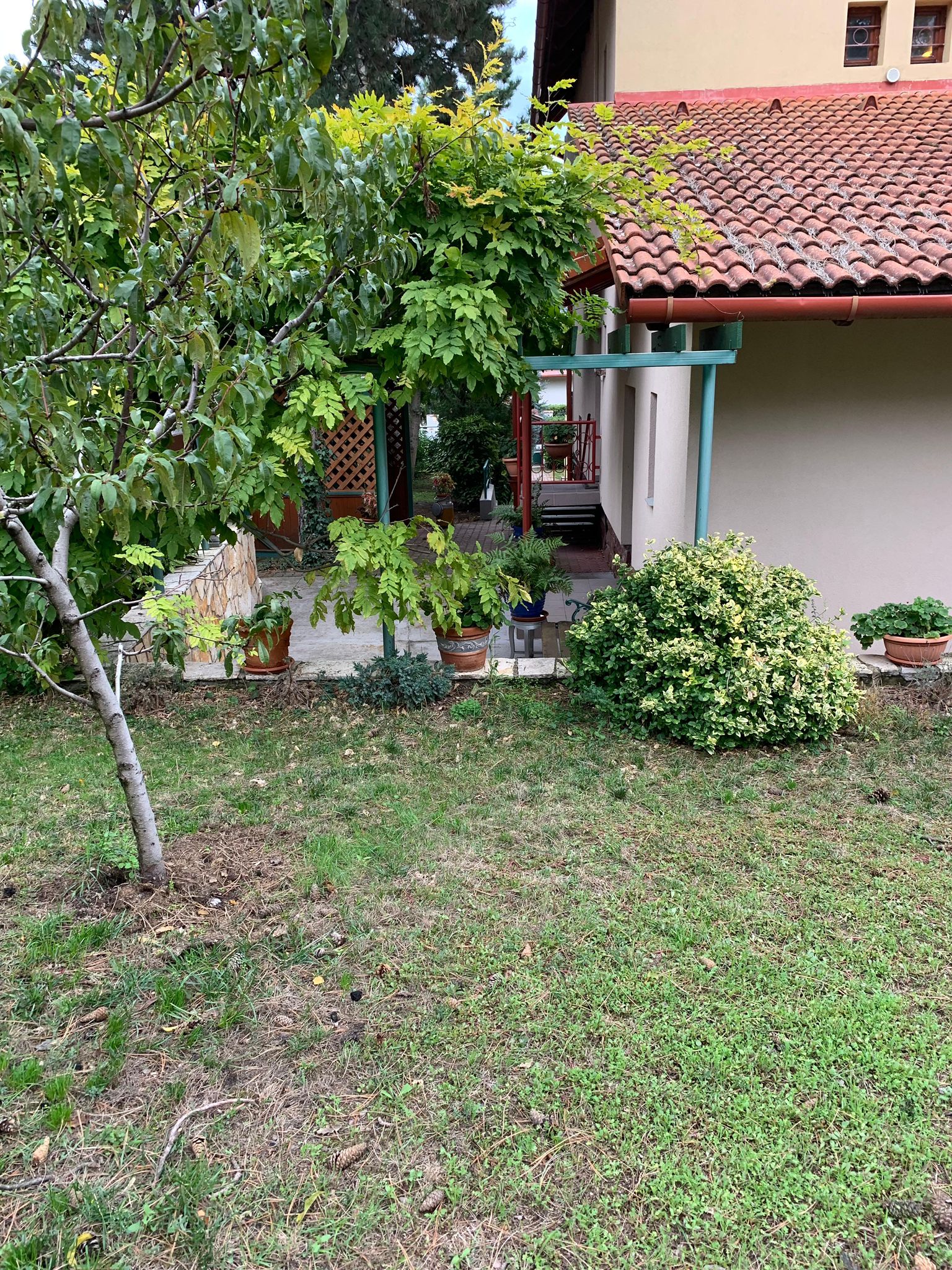 WhatsApp Image 2025 12 16 at 16.22.41