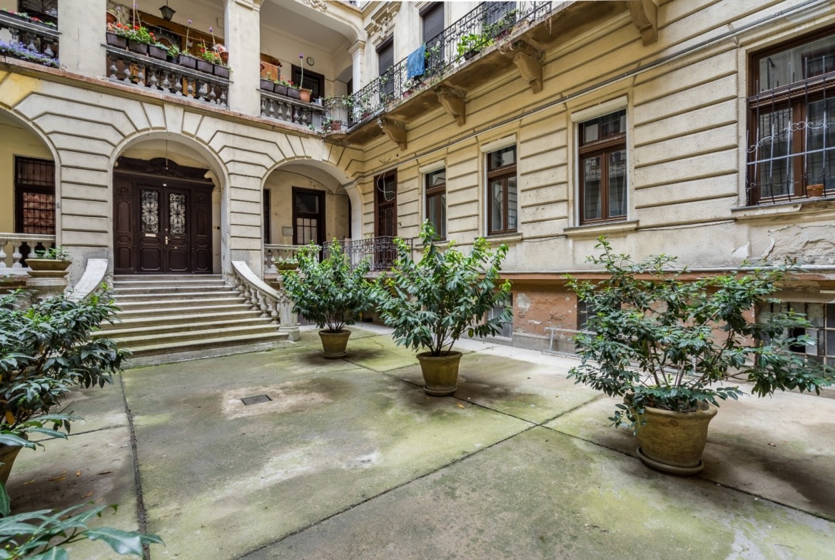 WhatsApp Image 2025 12 01 at 12.49.54 (1)