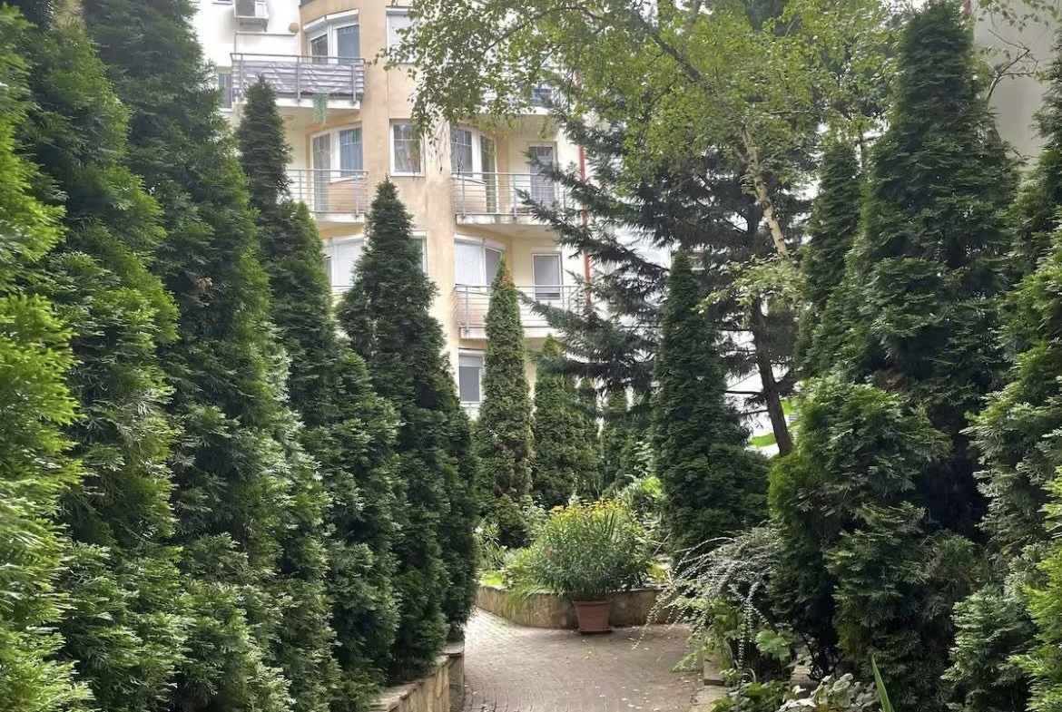 649958381 2460370454421686 5525371149035978971 n