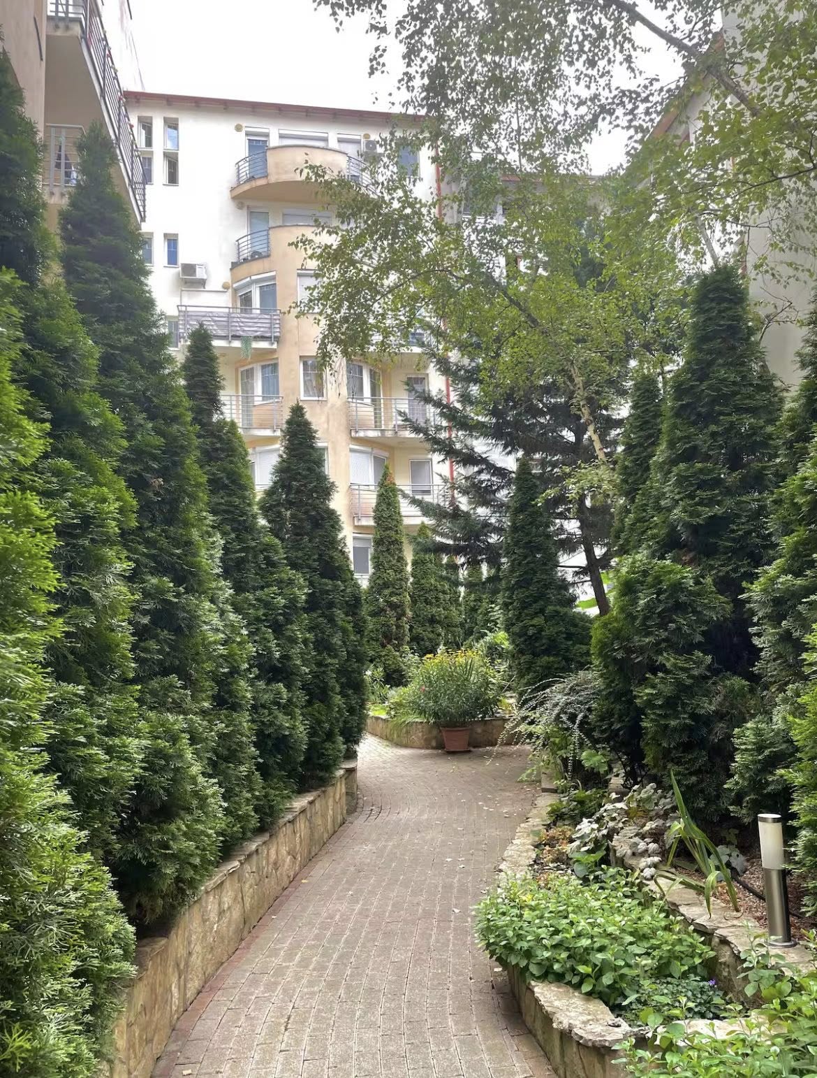 649958381 2460370454421686 5525371149035978971 n