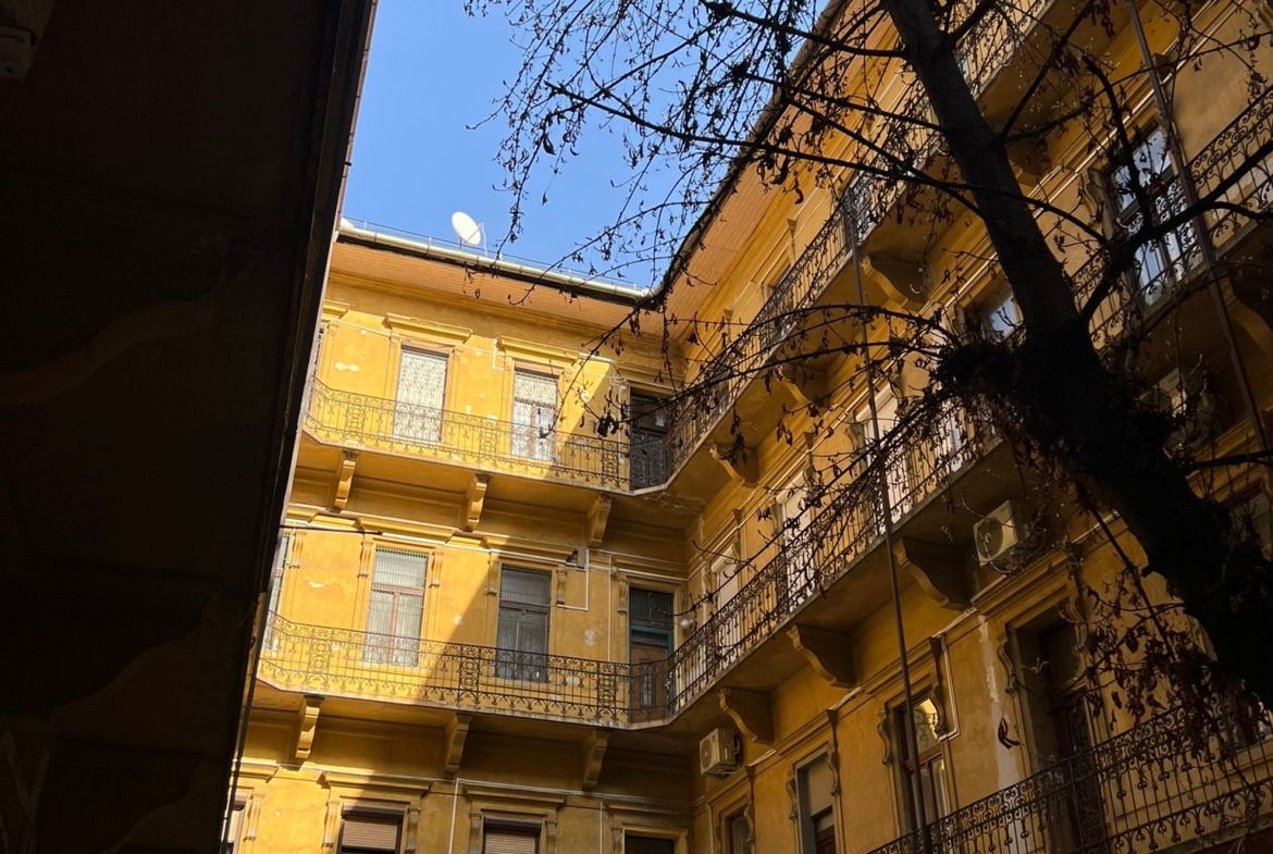 WhatsApp Image 2026 03 18 at 14.05.33