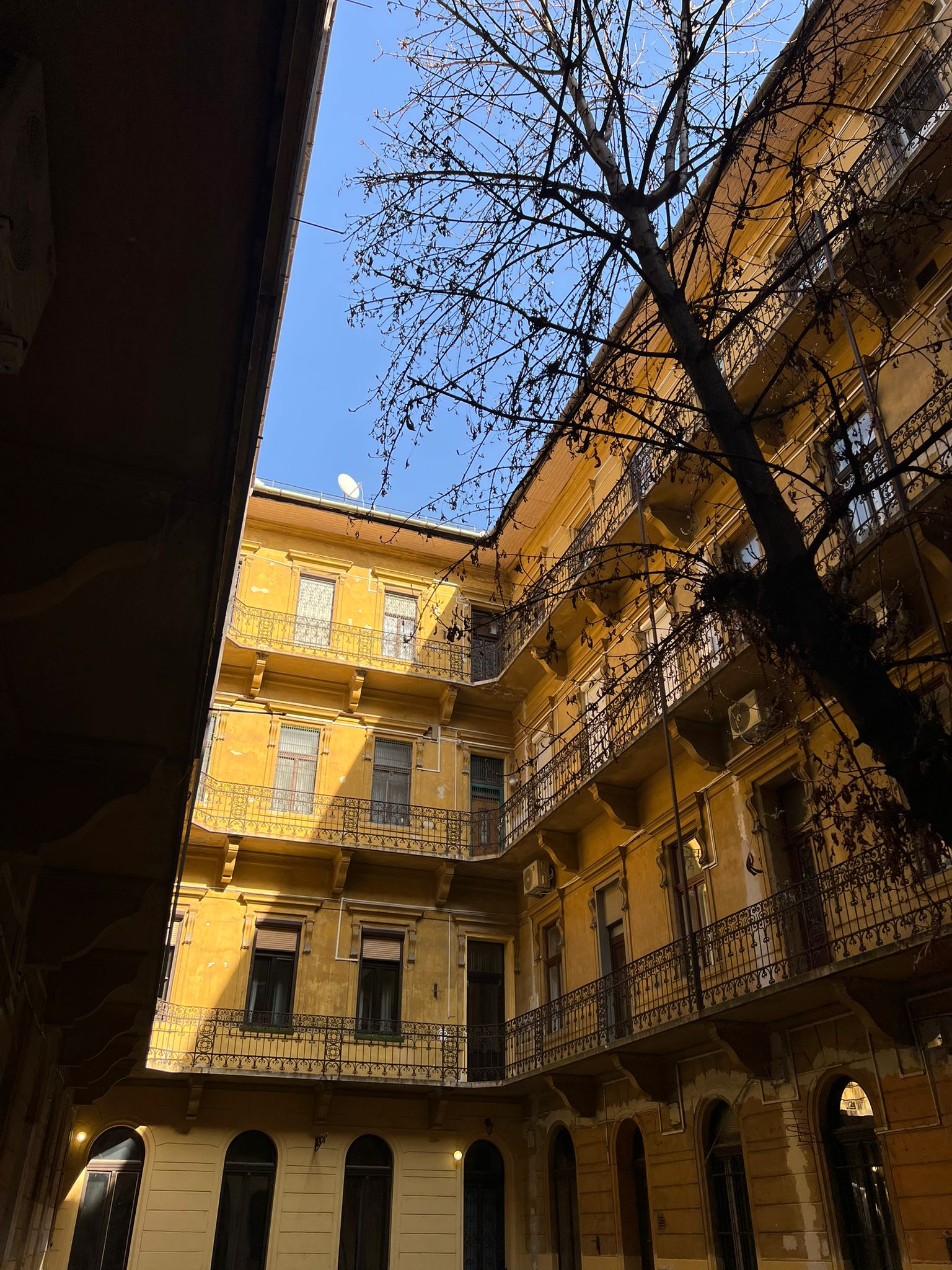 WhatsApp Image 2026 03 18 at 14.05.33