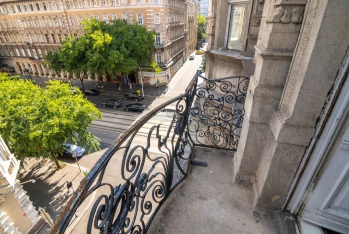 WhatsApp Image 2026 03 19 at 09.50.48