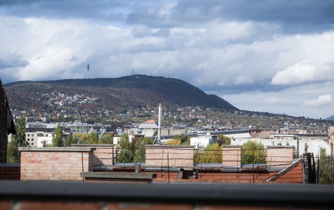 IMG 7845